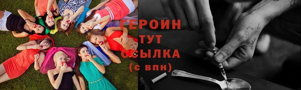 гашик Ельня