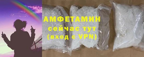 гашик Ельня
