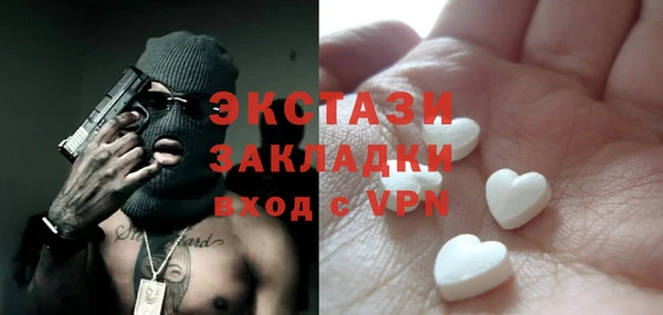 гашик Ельня