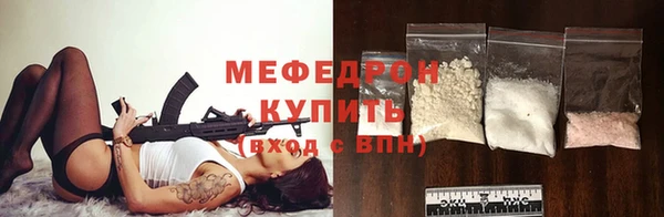 гашик Ельня