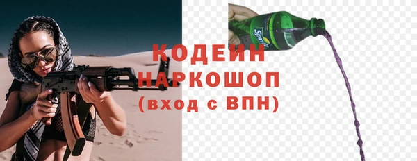 гашик Ельня