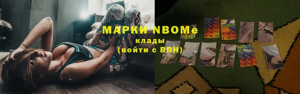гашик Ельня