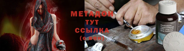 гашик Ельня