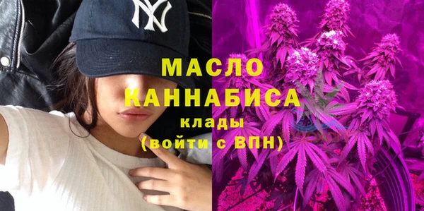 гашик Ельня