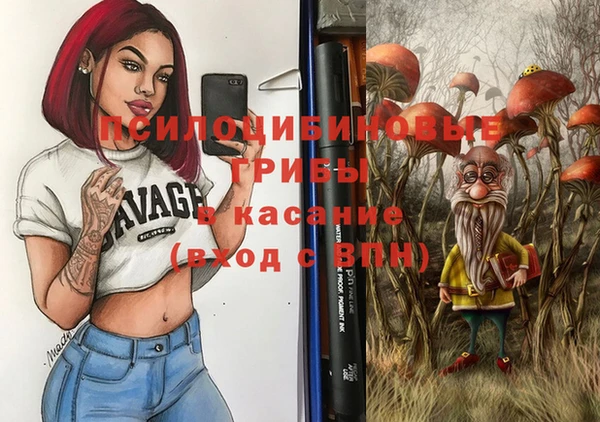 прущие крисы Елабуга