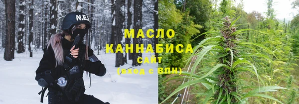 гашик Ельня