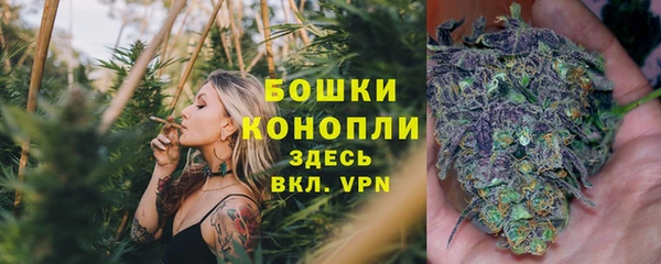 гашик Ельня