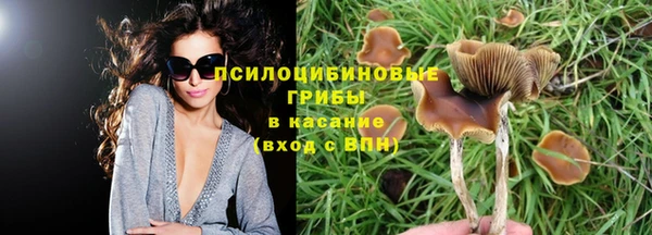 гашик Ельня