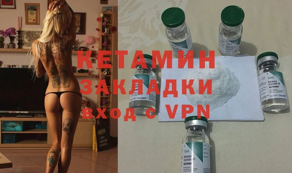 гашик Ельня