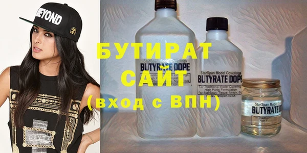 гашик Ельня