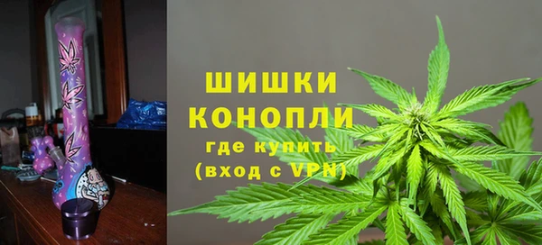 гашик Ельня