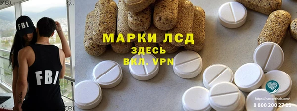 гашик Ельня