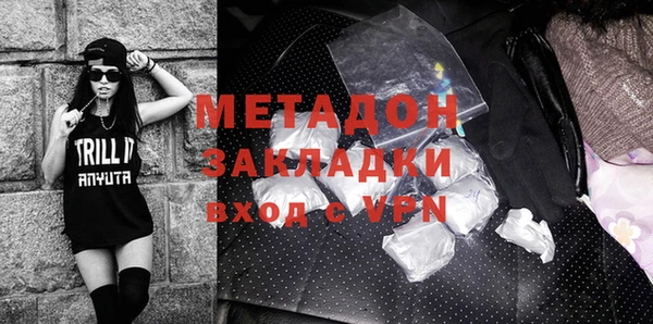 гашик Ельня