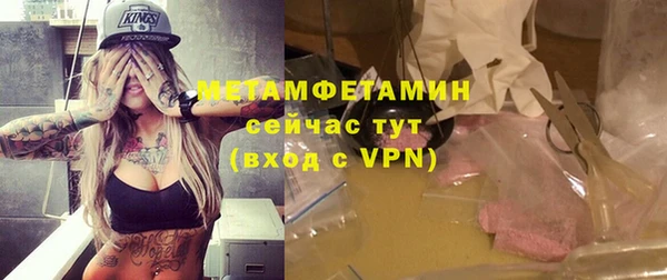 гашик Ельня